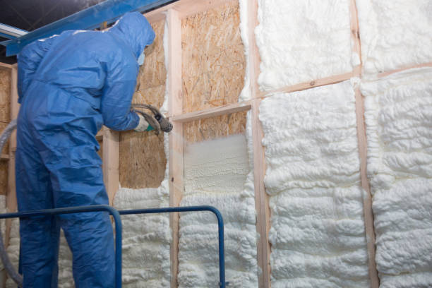 Best Radiant Barrier Insulation  in Milbank, SD